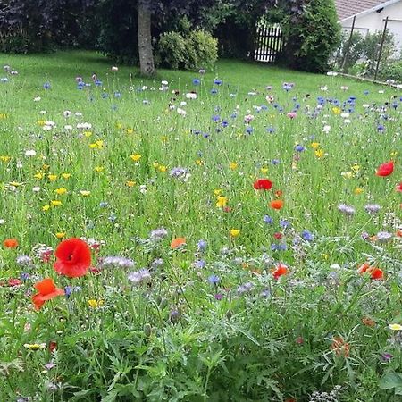 Gite La Petite Maison Horlogere Et Jacuzzi , Raquettes Les Fontenelles Zewnętrze zdjęcie